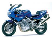 Yamaha TRX850 96  1.jpg