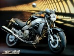 Информация по эксплуатации, максимальная скорость, расход топлива, фото и видео мотоциклов CB1100 SF X Eleven (2000)