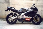 Информация по эксплуатации, максимальная скорость, расход топлива, фото и видео мотоциклов RS125 Extrema Sports Pro Chesterfield Replica (1994)