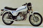 Информация по эксплуатации, максимальная скорость, расход топлива, фото и видео мотоциклов 125 (1985)
