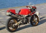 Информация по эксплуатации, максимальная скорость, расход топлива, фото и видео мотоциклов Saturno Bialbero 500 (1988)