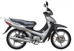  Мотоцикл DFE 110-3C (2009): Эксплуатация, руководство, цены, стоимость и расход топлива 