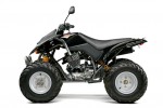  Мотоцикл DXR 250 (2009): Эксплуатация, руководство, цены, стоимость и расход топлива 