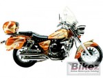  Мотоцикл DF150 Cruiser (2007): Эксплуатация, руководство, цены, стоимость и расход топлива 