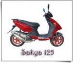  Мотоцикл Sakya 125 (2007): Эксплуатация, руководство, цены, стоимость и расход топлива 