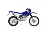  Мотоцикл RS250 (2008): Эксплуатация, руководство, цены, стоимость и расход топлива 