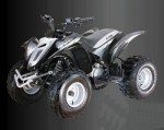  Мотоцикл Viper 90 R (2010): Эксплуатация, руководство, цены, стоимость и расход топлива 