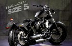 Информация по эксплуатации, максимальная скорость, расход топлива, фото и видео мотоциклов Hollister Size S (2012)