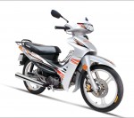 Информация по эксплуатации, максимальная скорость, расход топлива, фото и видео мотоциклов Cub JS125-G (2008)