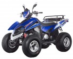 Информация по эксплуатации, максимальная скорость, расход топлива, фото и видео мотоциклов ATV Dragon 250 (2009)