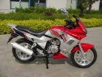  Мотоцикл XT125-18 (2010): Эксплуатация, руководство, цены, стоимость и расход топлива 