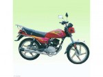  Мотоцикл XT125-B Mickey (2010): Эксплуатация, руководство, цены, стоимость и расход топлива 