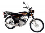  Мотоцикл AX 100S (2010): Эксплуатация, руководство, цены, стоимость и расход топлива 