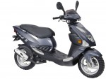  Мотоцикл T-REX 110 (2007): Эксплуатация, руководство, цены, стоимость и расход топлива 