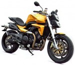  Мотоцикл VX-10 2010: Эксплуатация, руководство, цены, стоимость и расход топлива 